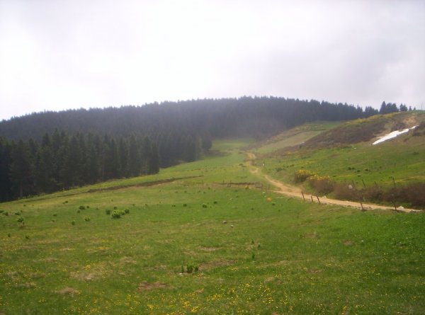 genel001