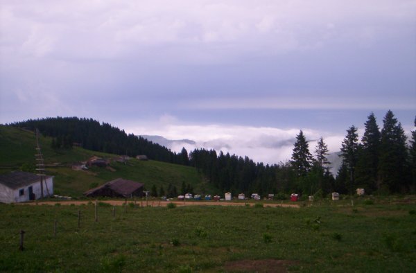 genel003