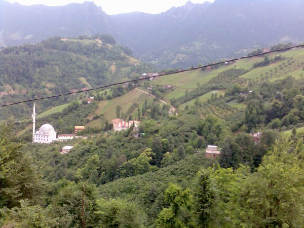 genel008