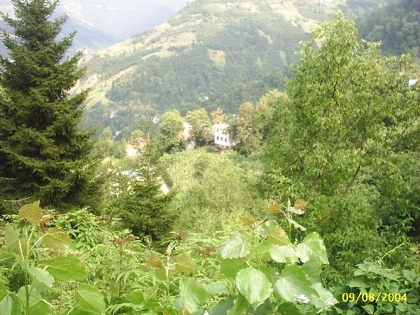 genel059