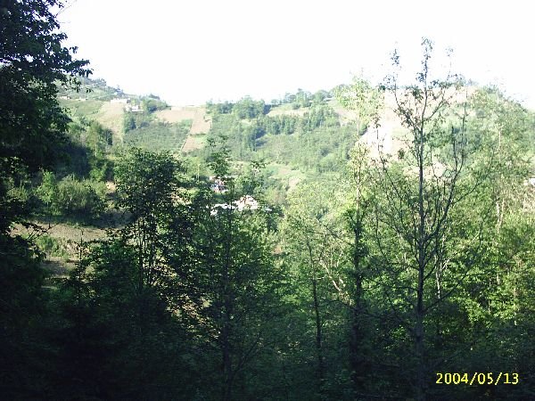 genel061