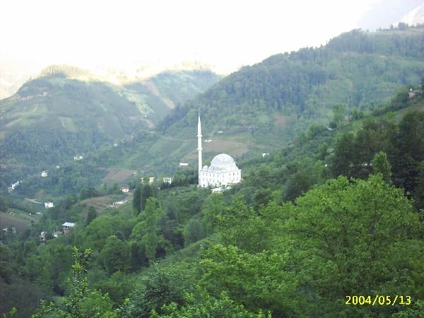 genel069