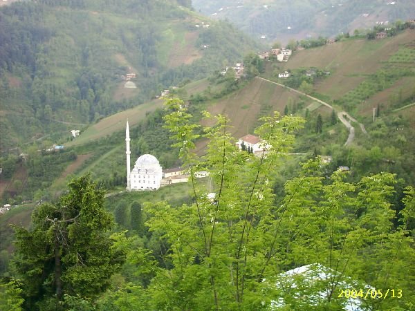 genel072