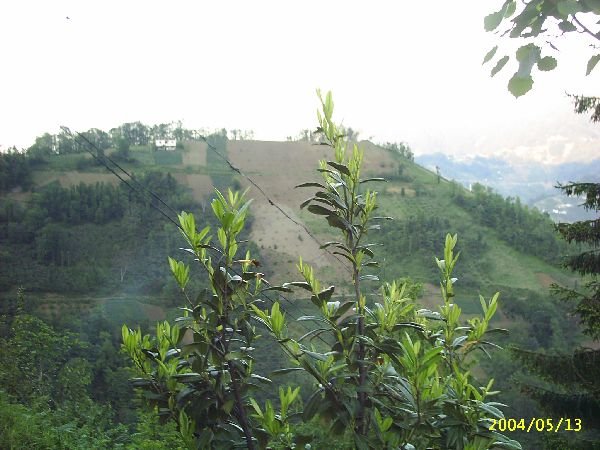 genel073