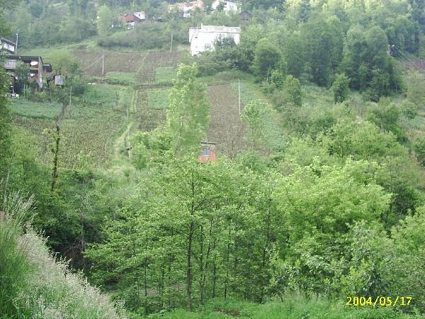 genel076
