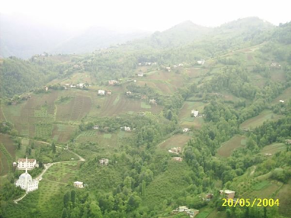 genel081