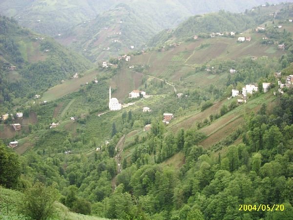 genel085