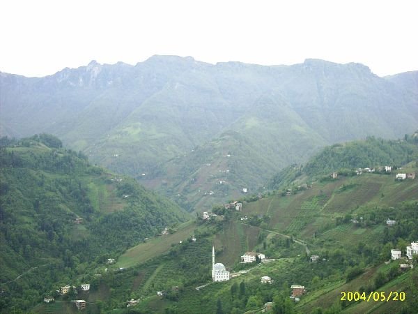genel086