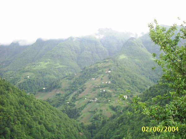 genel093