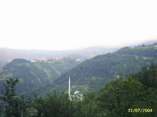 genel098