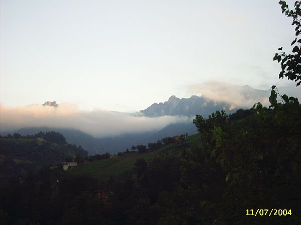 genel099