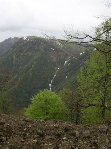genel125