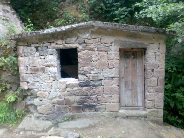 genel137
