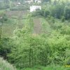 genel076
